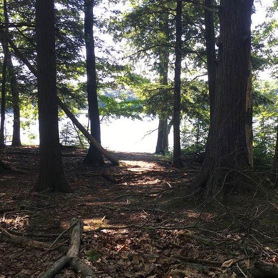 Village Campground North Manitou Island Camping The Dyrt