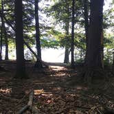 Review photo of Village Campground — Sleeping Bear Dunes National Lakeshore by GoWhereYouAreDraw N., July 1, 2021