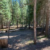Review photo of Thielsen View Campground by Annie C., July 1, 2021
