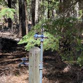 Review photo of Thielsen View Campground by Annie C., July 1, 2021