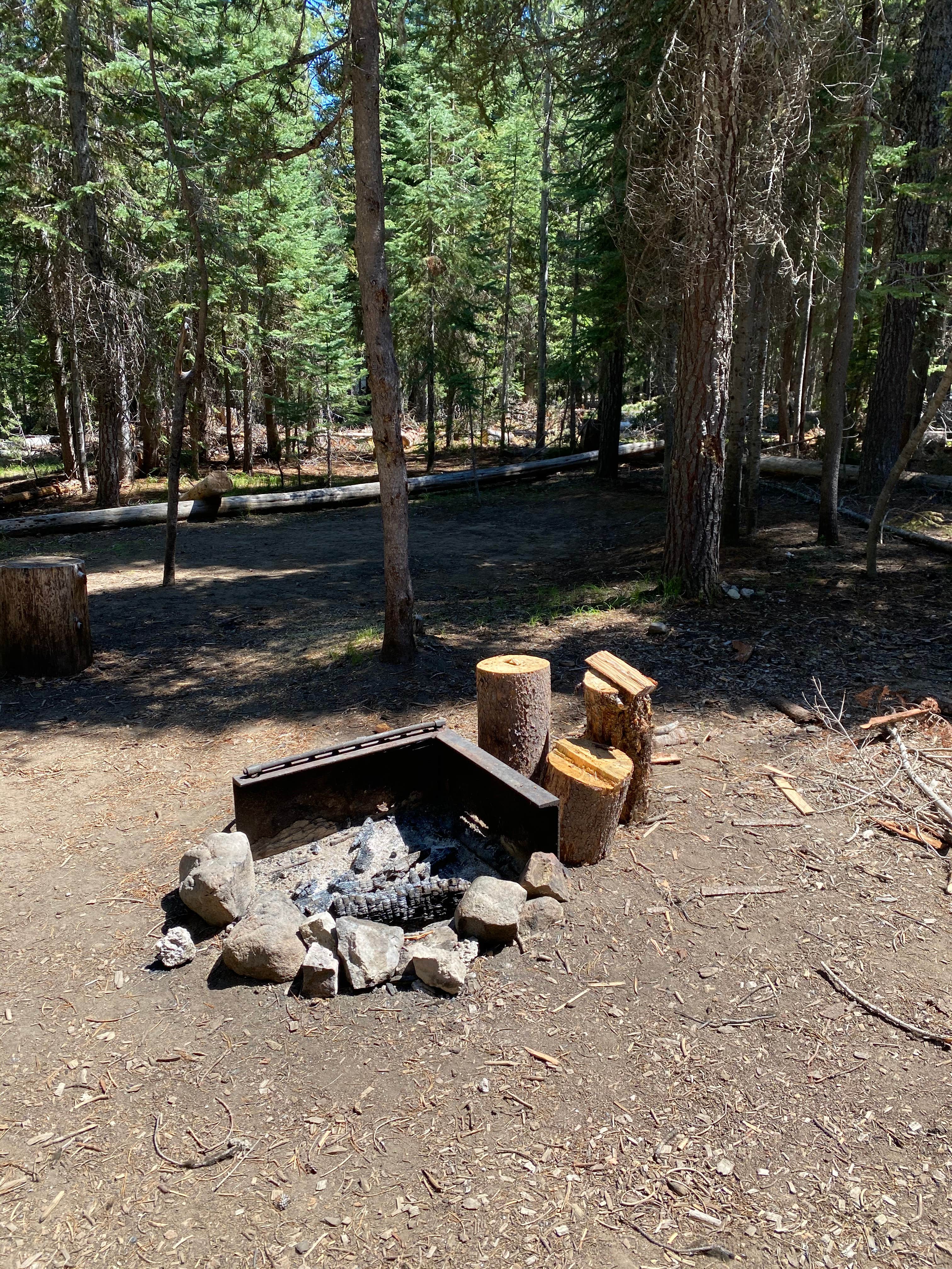 Camper submitted image from Thielsen View Campground - 4