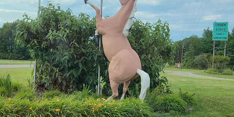 Camper submitted image from Hidden Acres Campground