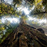 Review photo of Burlington Campground — Humboldt Redwoods State Park by Amber D., June 12, 2018