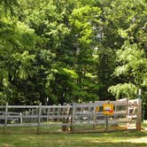 Review photo of Asheville West KOA by Myron C., July 1, 2021