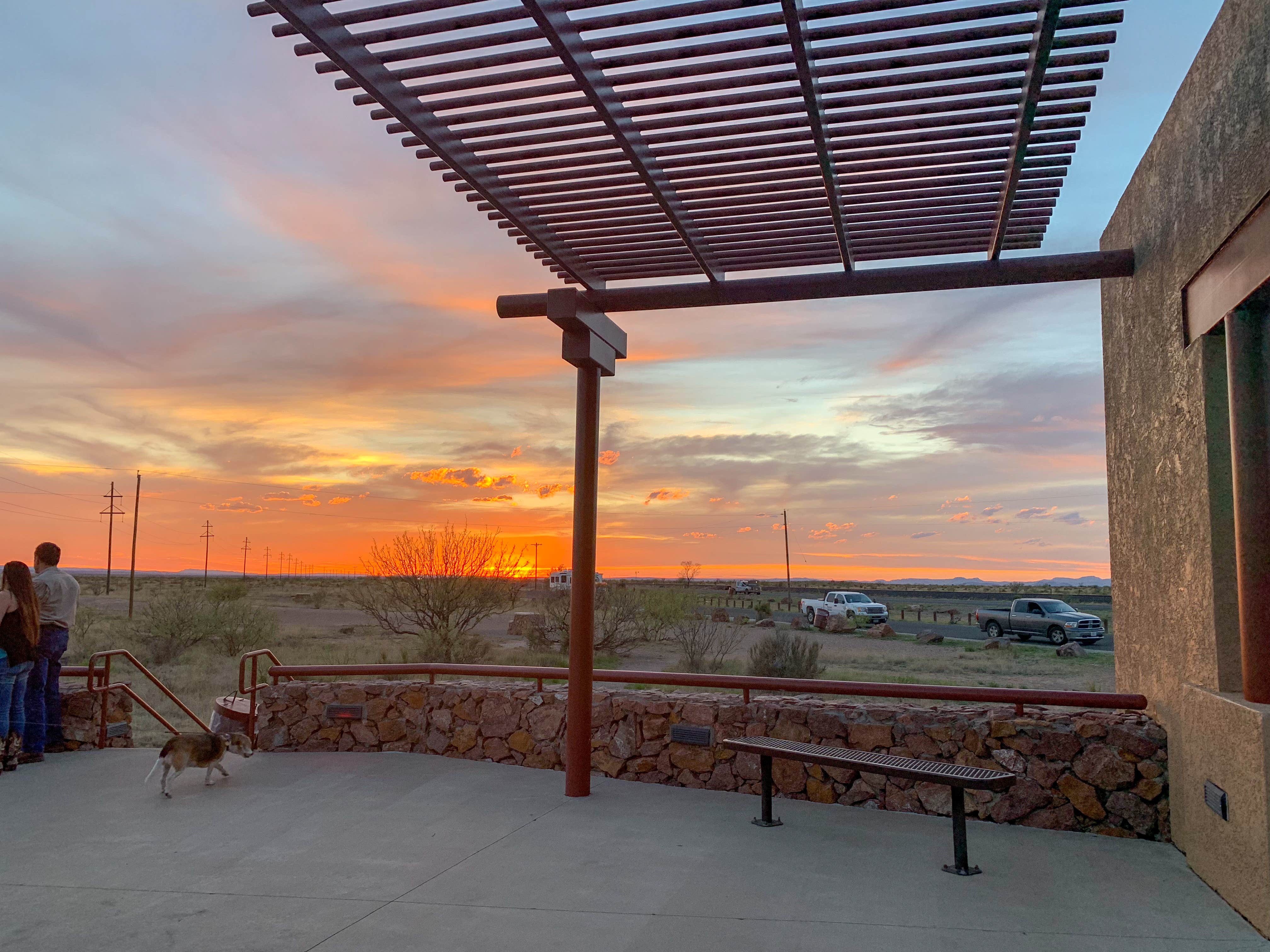 Bounding Around's photo of camping with pets at Marfa Lights Viewpoint Rest Area near Balmorhea, TX