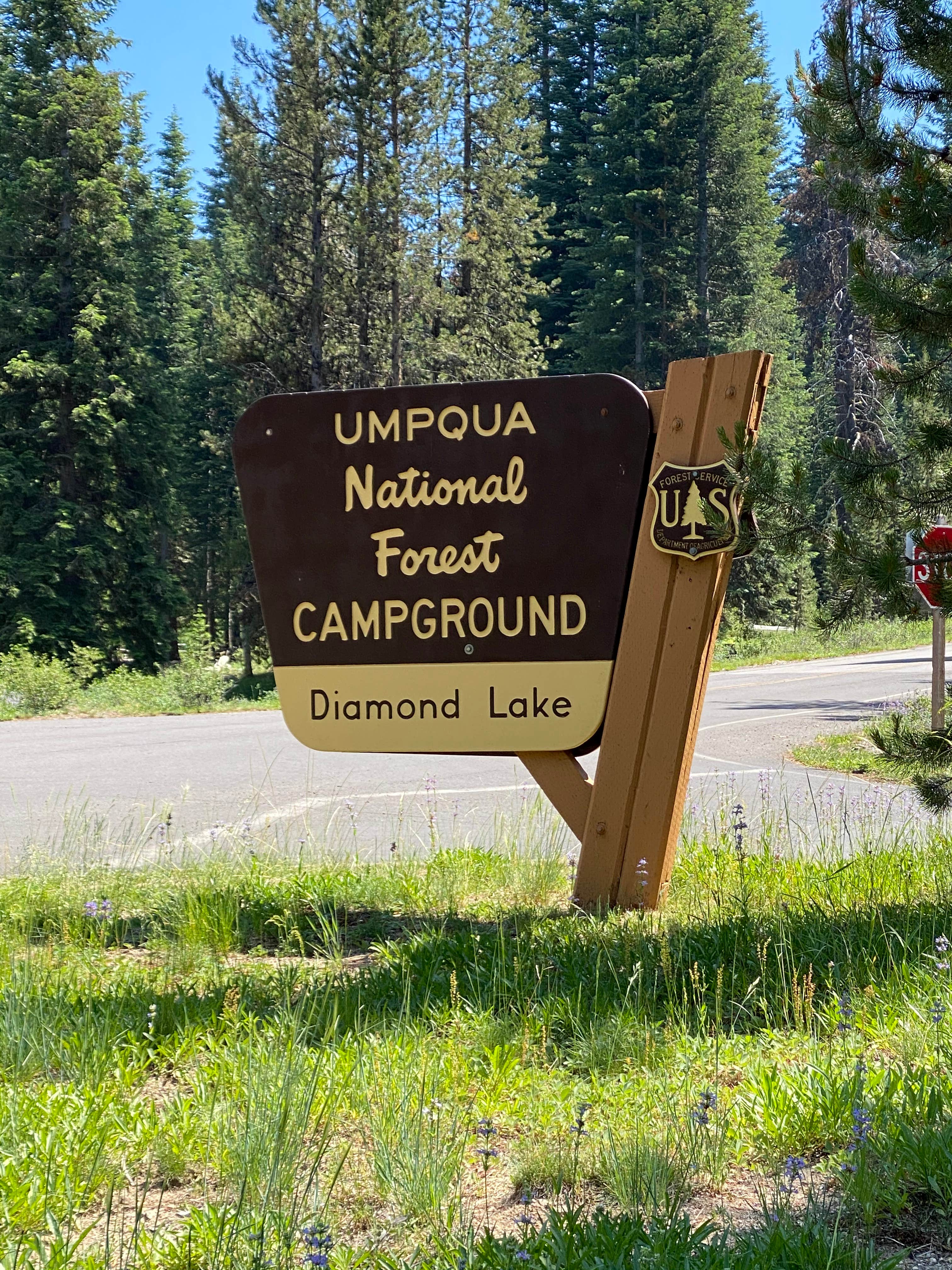 Camper submitted image from Diamond Lake - 5
