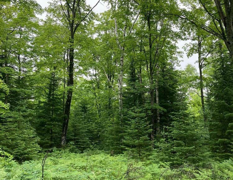 Camper-submitted photo at Beaver Island Bill Wagner Memorial Campground near Mackinac Island, MI