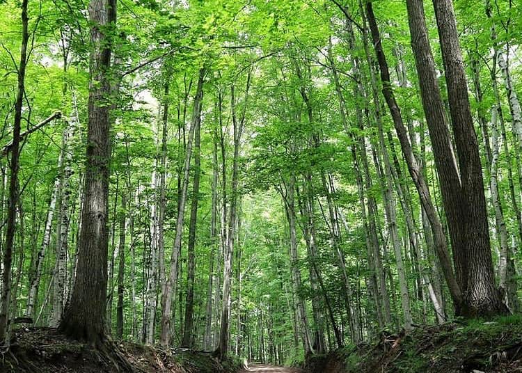 Camper-submitted photo at Beaver Island Bill Wagner Memorial Campground near Mackinac Island, MI