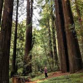 Review photo of Burlington Campground — Humboldt Redwoods State Park by Amber D., June 12, 2018