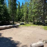 Review photo of Mazama Village Campground — Crater Lake National Park by Annie C., July 1, 2021