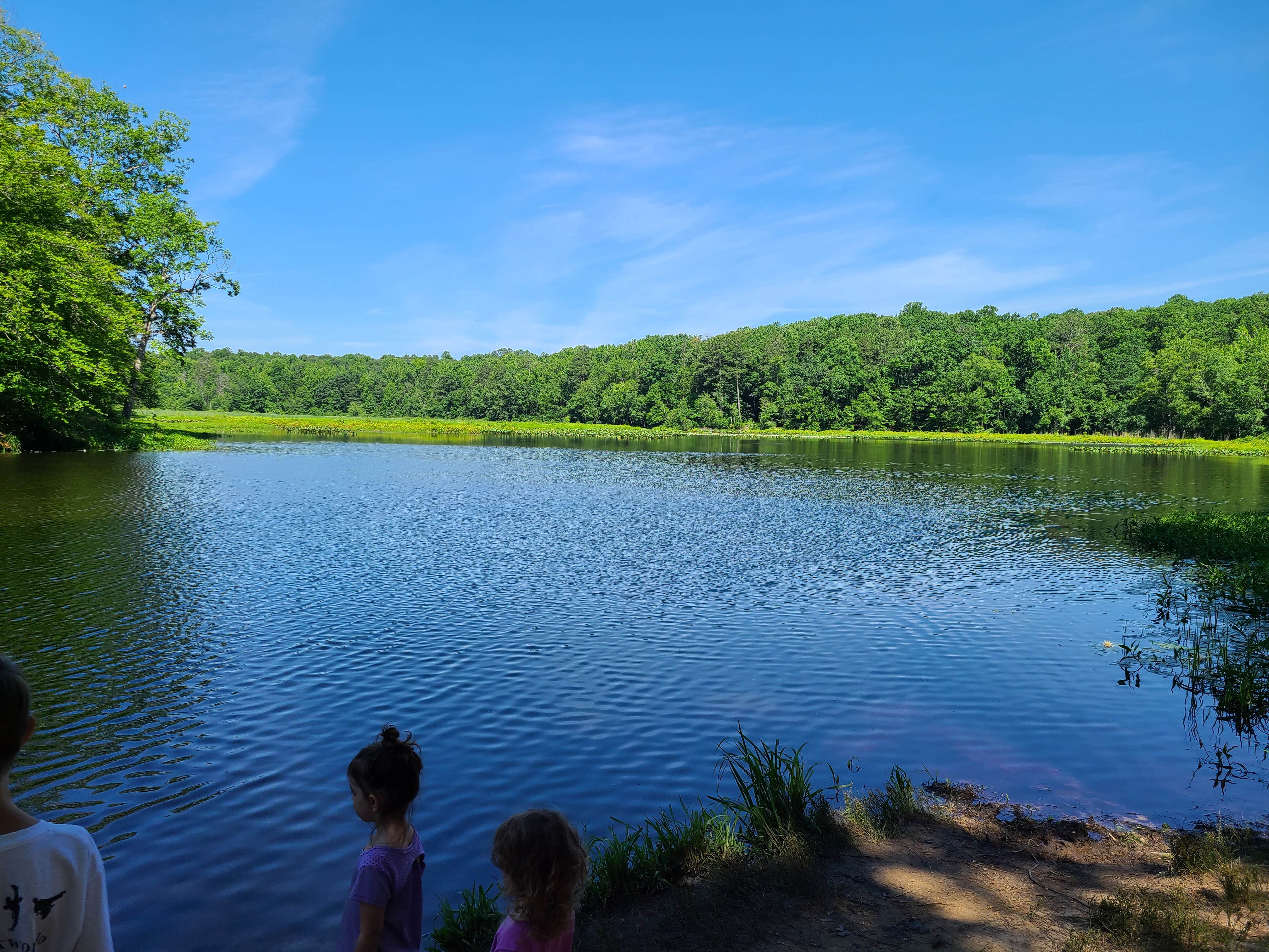 Pocahontas State Park: Where Birthday Adventures Come To Life!