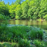 Review photo of Pocahontas State Park Campground by Jacob S., July 1, 2021