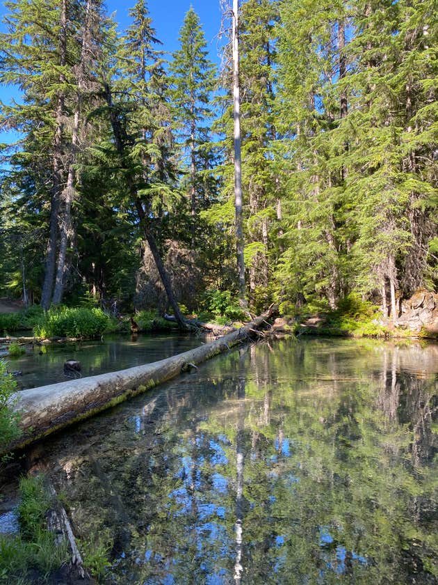 Clearwater Falls Campground Camping The Dyrt