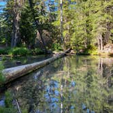 Review photo of Clearwater Falls Campground by Annie C., July 1, 2021