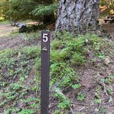 Review photo of Clearwater Falls Campground by Annie C., July 1, 2021