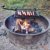 Review photo of Andy Guest/Shenandoah River State Park Campground by Jacob S., July 1, 2021