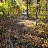 Review photo of Andy Guest/Shenandoah River State Park Campground by Jacob S., July 1, 2021