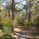 Review photo of Andy Guest/Shenandoah River State Park Campground by Jacob S., July 1, 2021