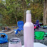 Review photo of Andy Guest/Shenandoah River State Park Campground by Jacob S., July 1, 2021