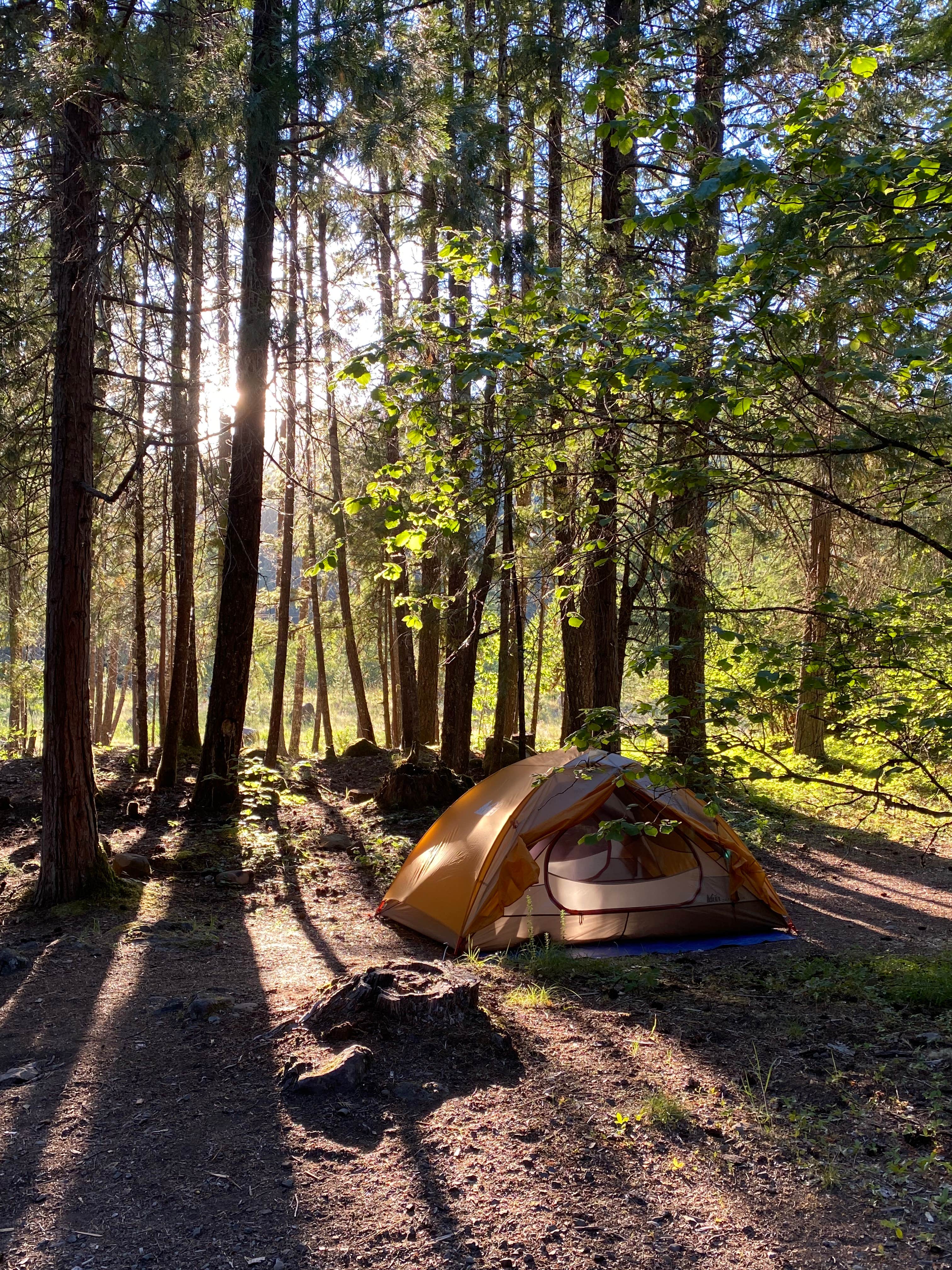 Annie C.'s photo at Toketee Lake Campground — Umpqua National Forest near Clearwater, OR