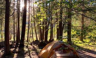 Annie C.'s photo at Toketee Lake Campground — Umpqua National Forest near Umpqua National Forest