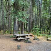 Review photo of Toketee Lake Campground — Umpqua National Forest by Annie C., July 1, 2021