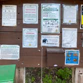 Review photo of Toketee Lake Campground — Umpqua National Forest by Annie C., July 1, 2021