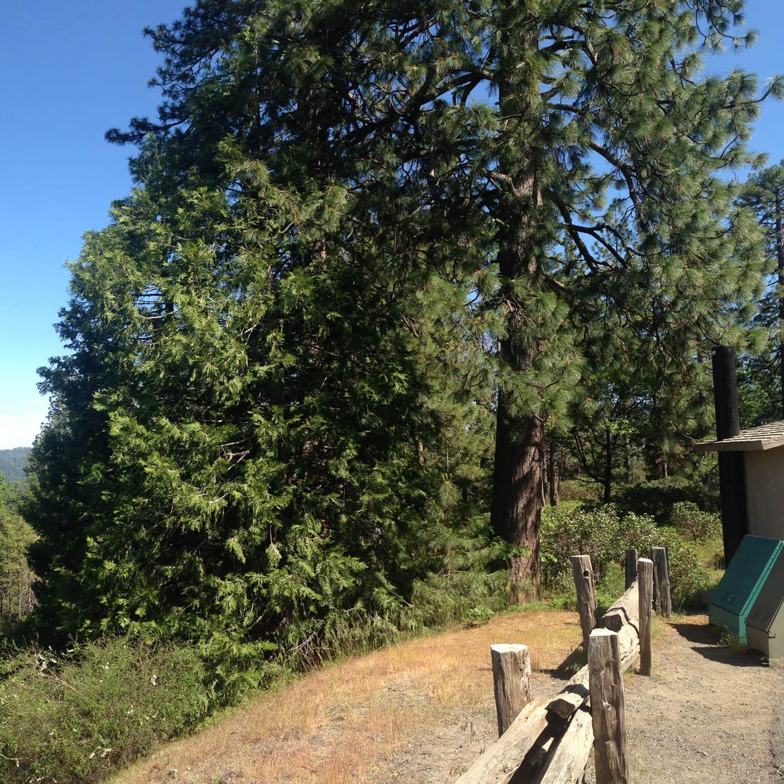 Oak Hollow Campground — Calaveras Big Trees State Park Arnold, CA