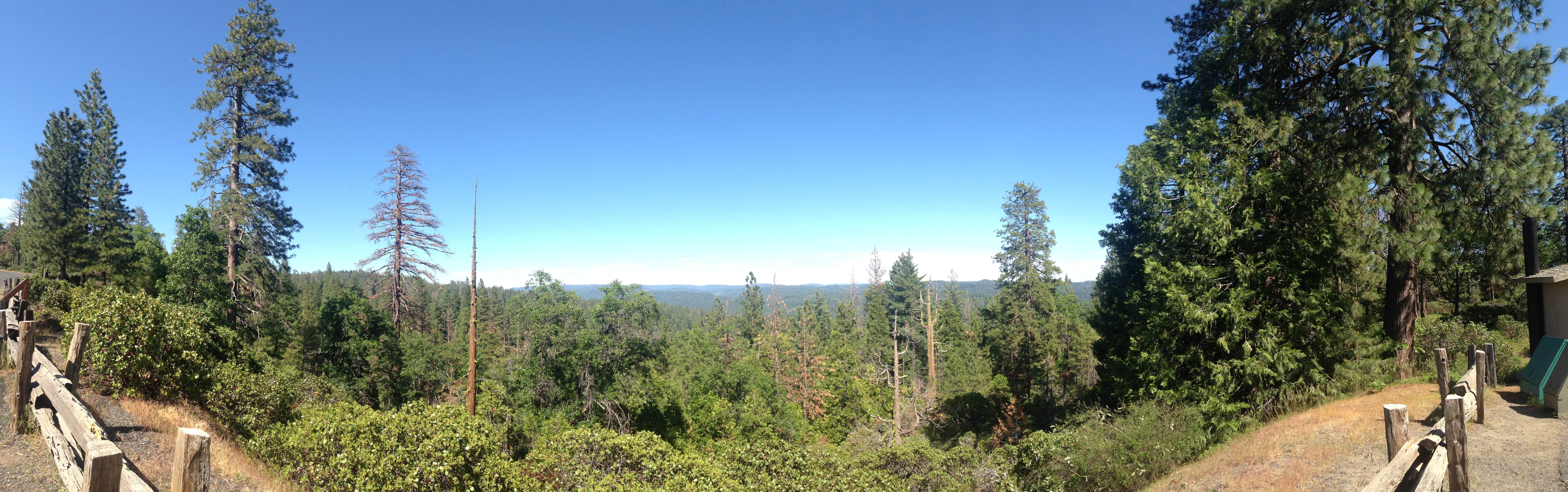 Camper submitted image from Oak Hollow Campground — Calaveras Big Trees State Park - 1