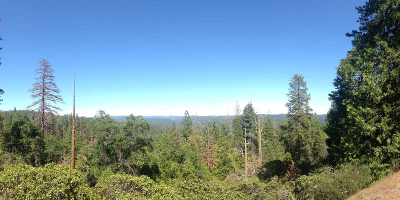 Camper submitted image from Oak Hollow Campground — Calaveras Big Trees State Park