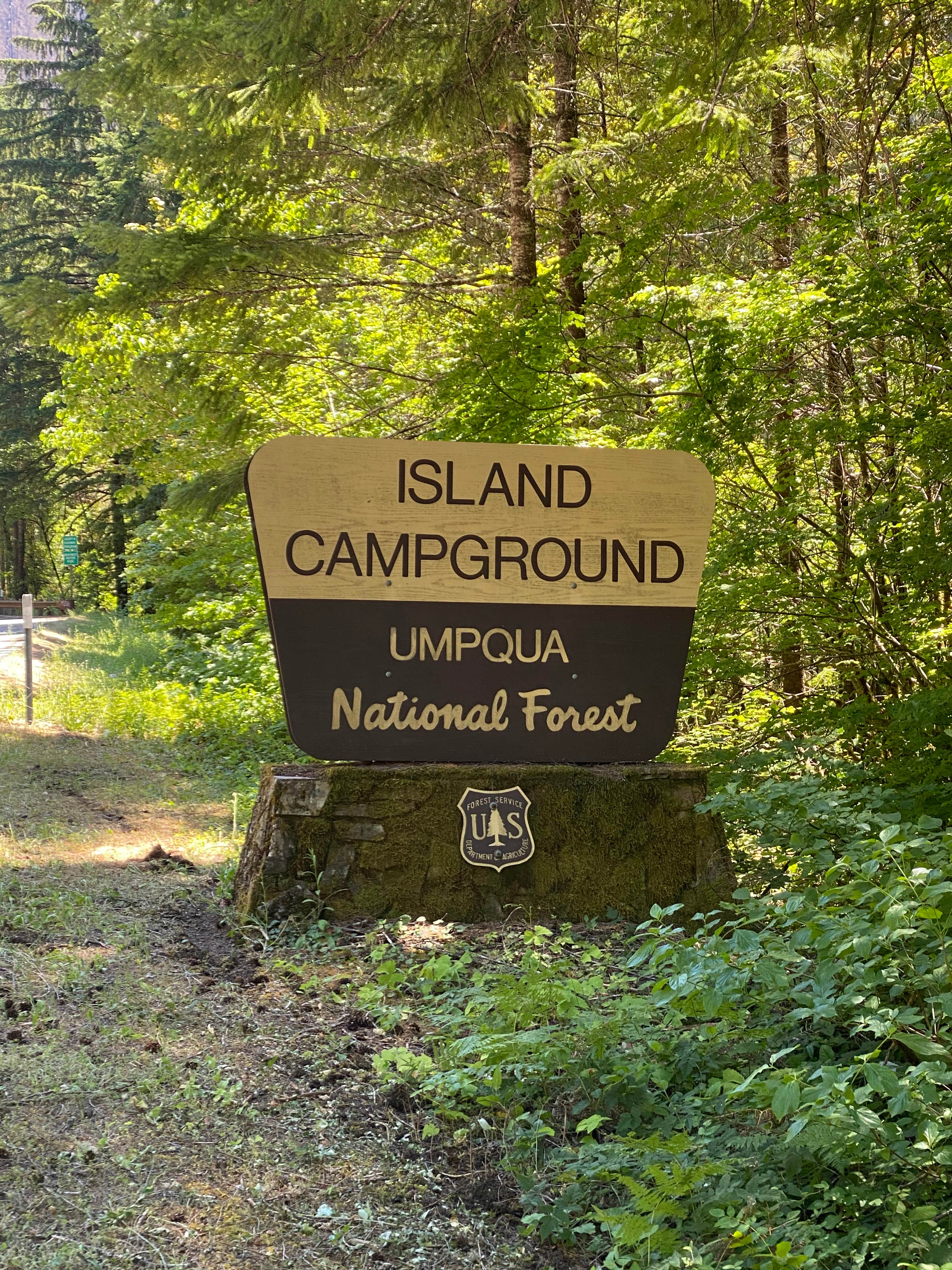 Camping near Apple Creek Campground: Island, Umpqua National Forest, Oregon