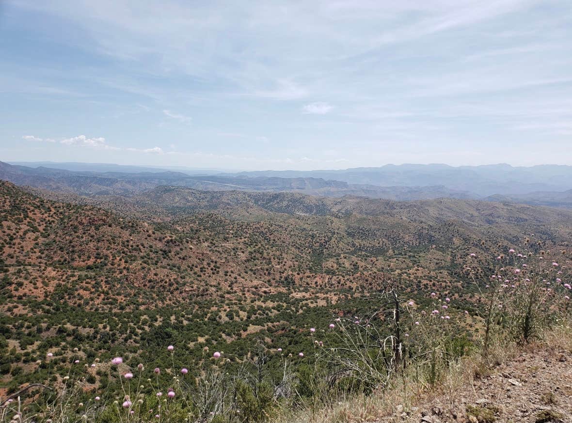 Camper submitted image from Sheeps Bridge BLM Area - Arizona - 2