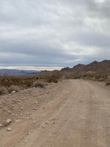 Camper submitted image from Sheeps Bridge BLM Area - Arizona - 3