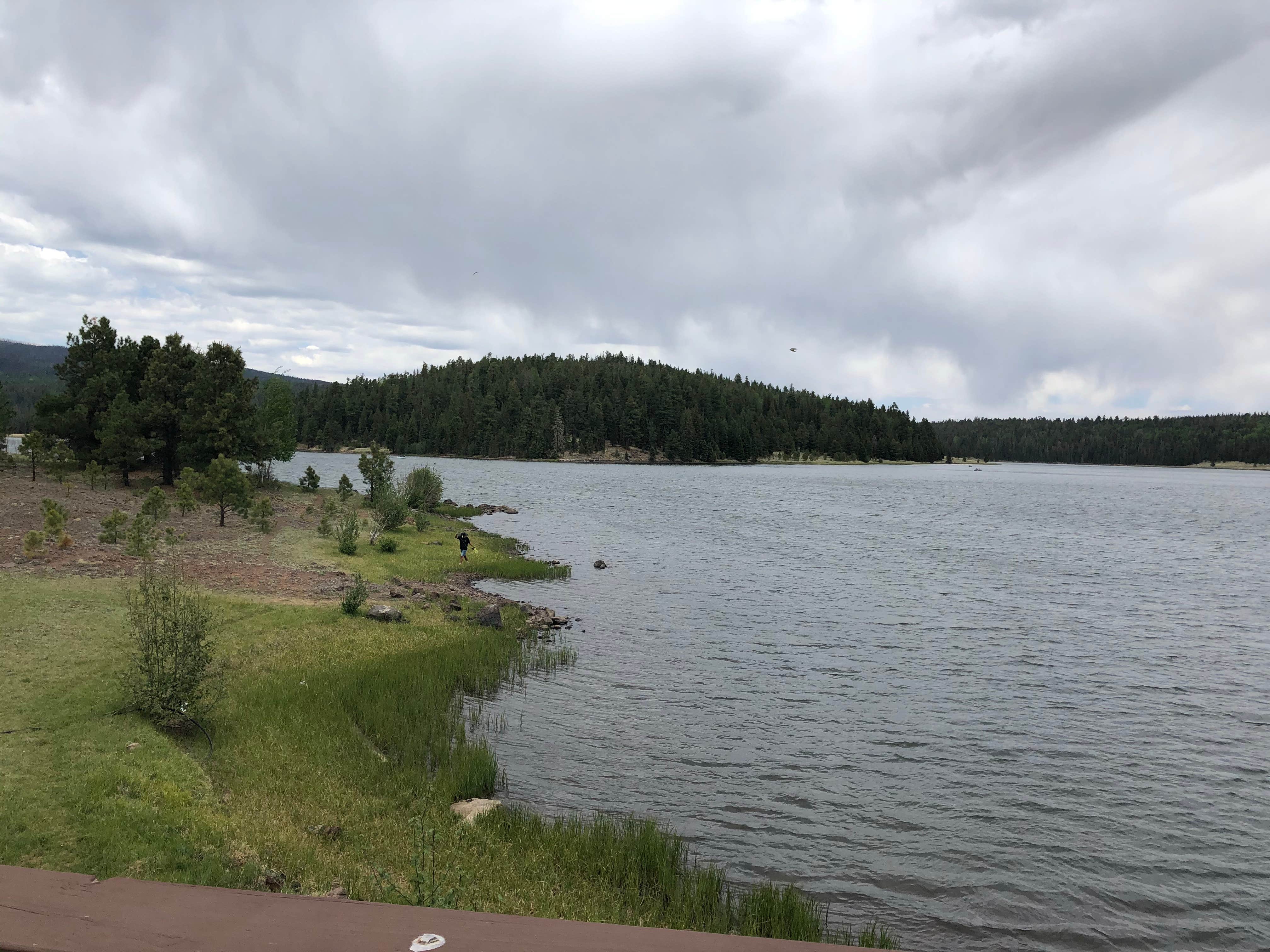 Camper submitted image from Reservation Lake Apache Indian Res - 3