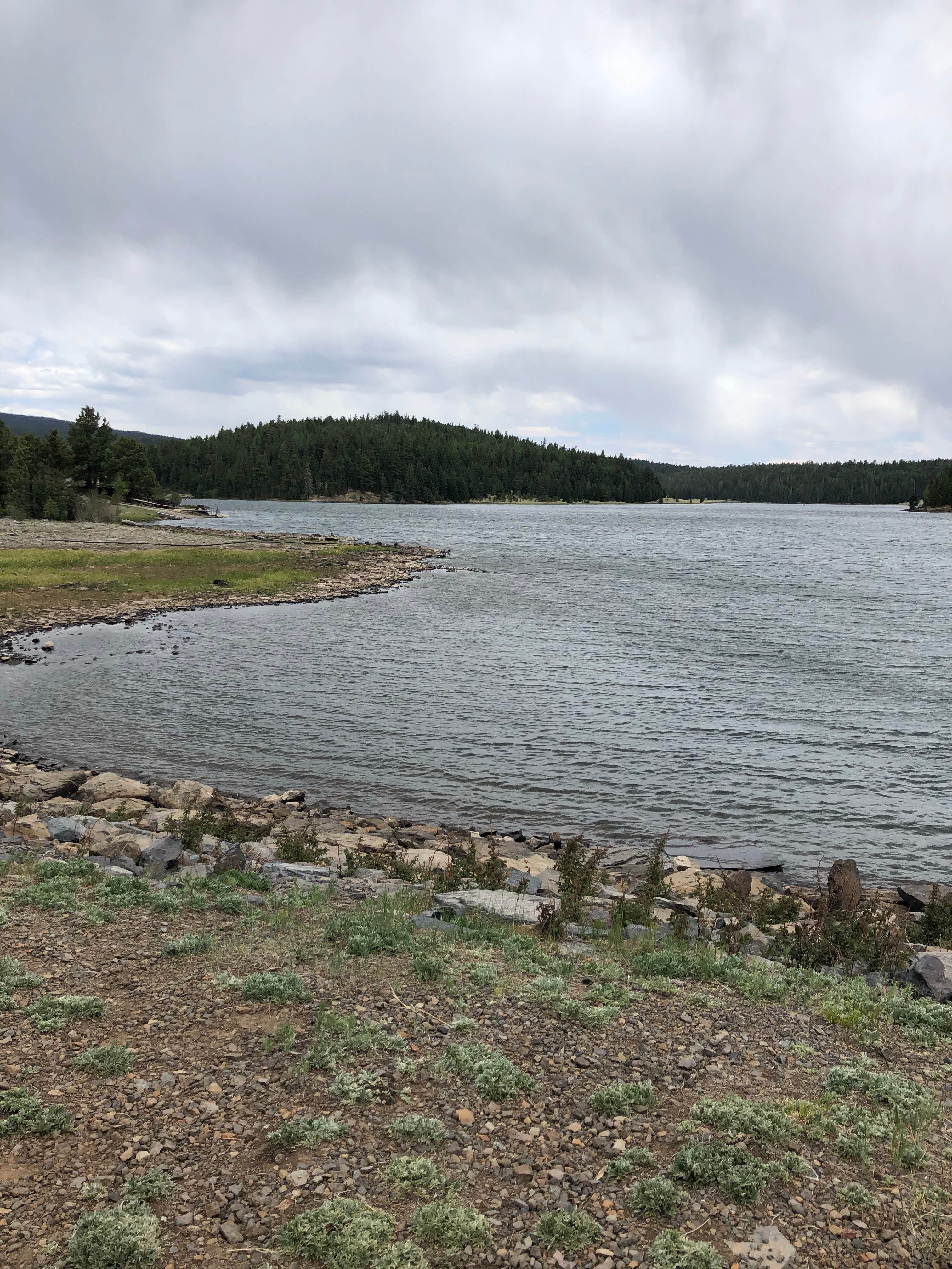 Camper submitted image from Reservation Lake Apache Indian Res - 2