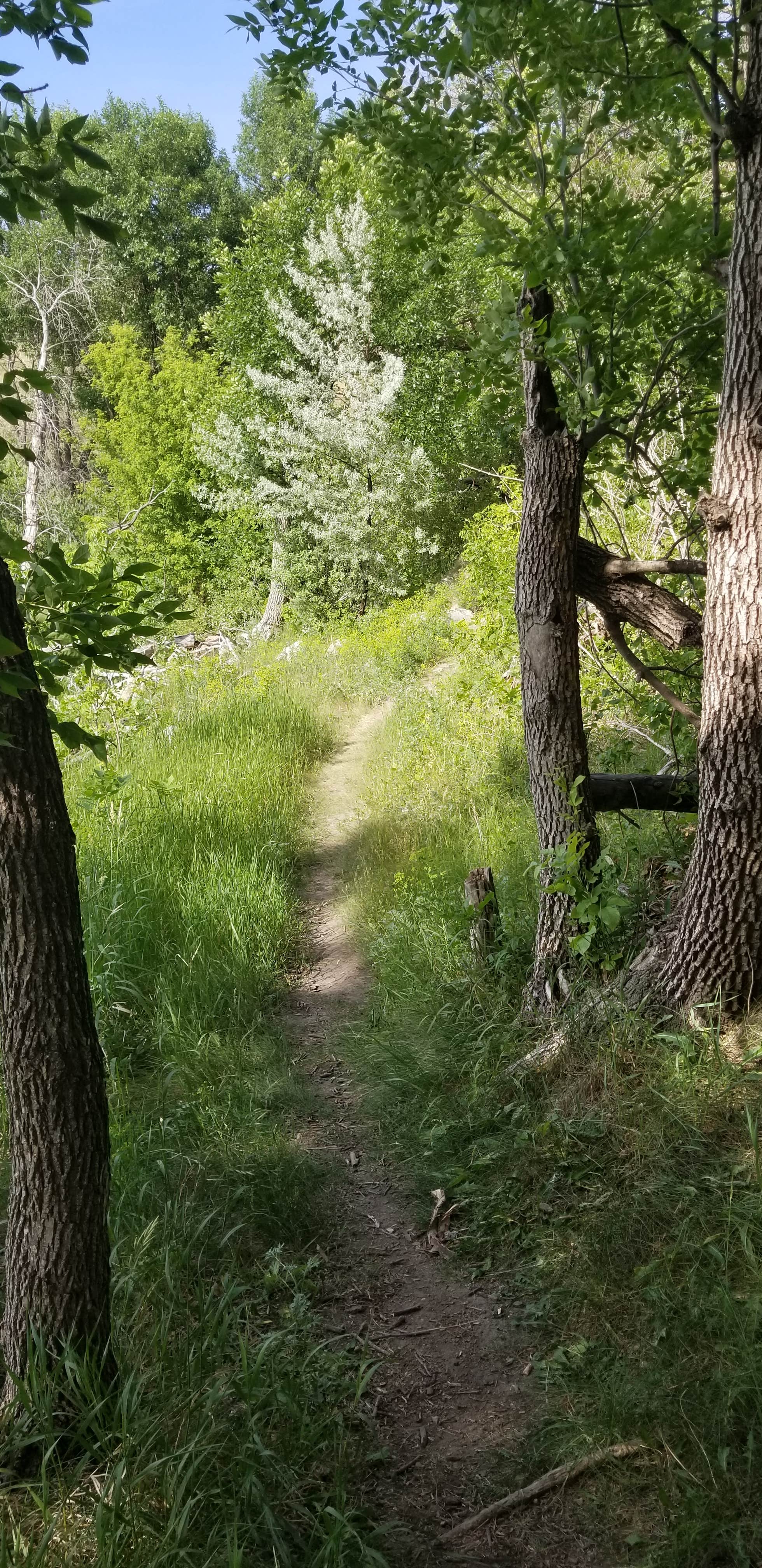 Camper-submitted photo at Parkhurst Campground - Pipestem near Kensal, ND