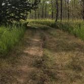 Review photo of Parkhurst Campground by Jo Outdoors , July 1, 2021