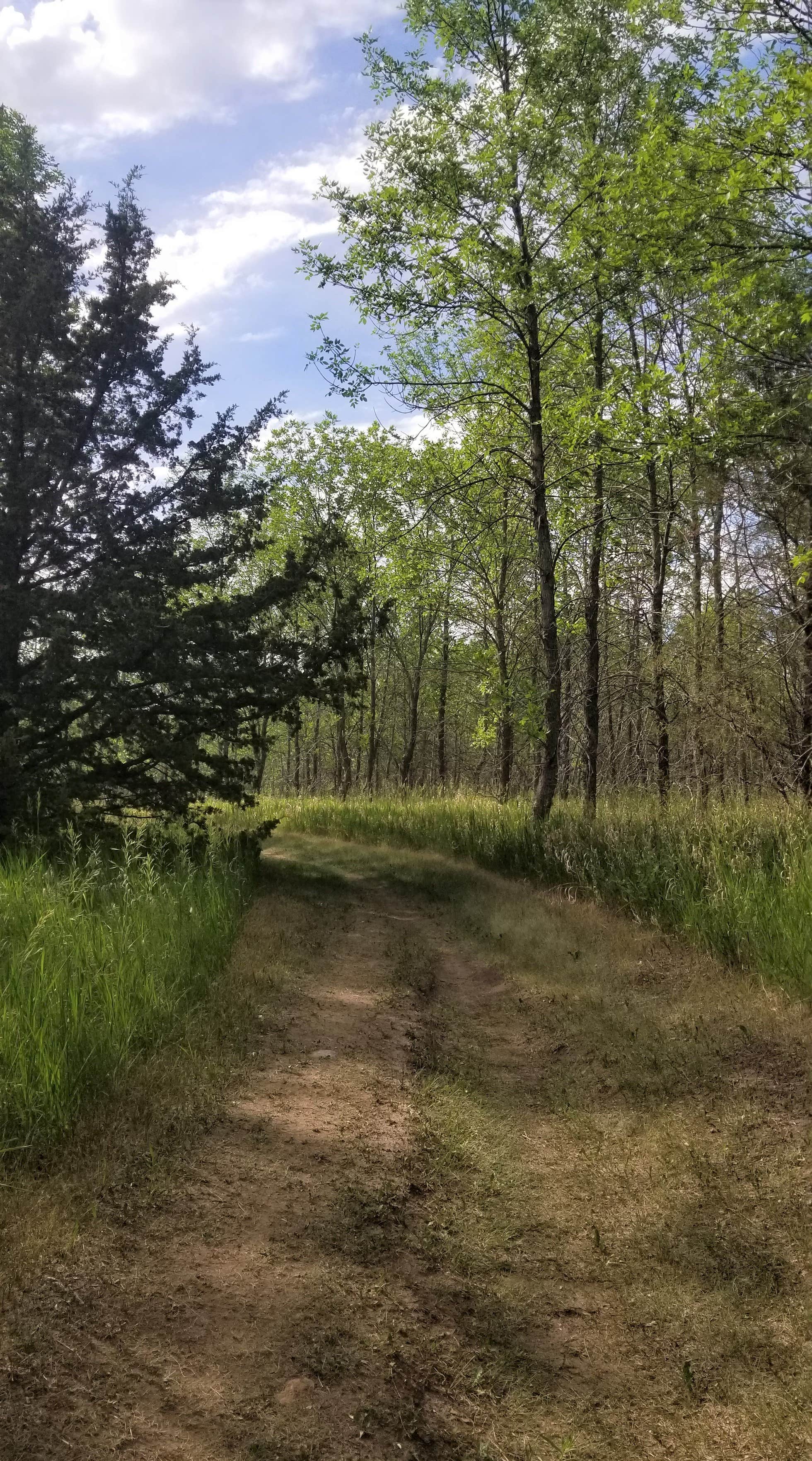 Camper submitted image from Parkhurst Campground - Pipestem - 5