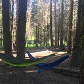 Review photo of Crane Flat Campground — Yosemite National Park by Nikki C., June 12, 2018