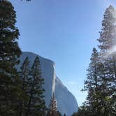 Review photo of Crane Flat Campground — Yosemite National Park by Nikki C., June 12, 2018