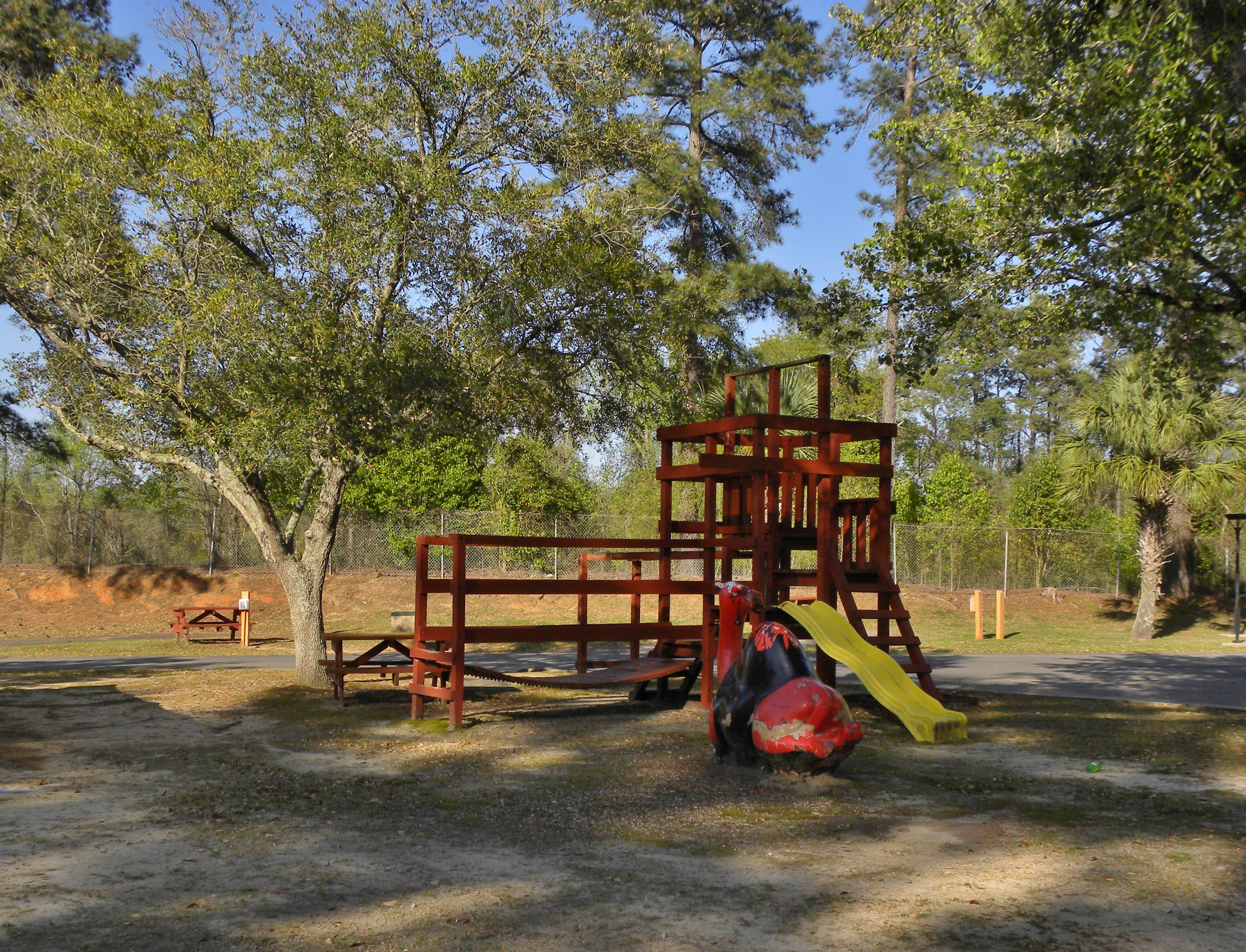 Camper submitted image from Pedro's Campground at South of the Border - 2