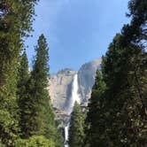 Review photo of Crane Flat Campground — Yosemite National Park by Nikki C., June 12, 2018