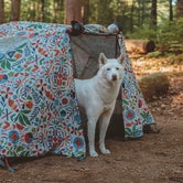 Review photo of Bear Brook State Park Campground by Gabby M., June 12, 2018