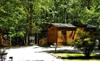 Myron C.'s photo of a cabin at Travelers Rest-North Greenville KOA near Rosman, NC