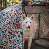 Review photo of Bear Brook State Park Campground by Gabby M., June 12, 2018