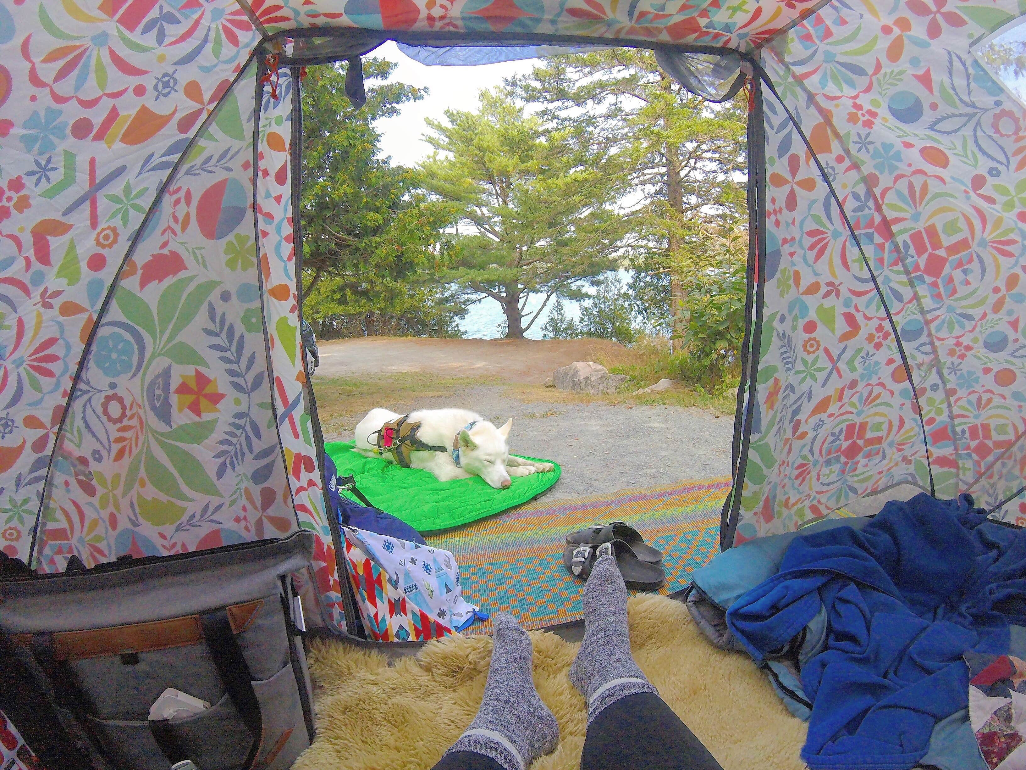 Camper submitted image from HTR Acadia - 1