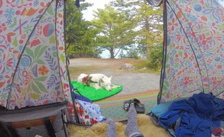 Camper-submitted photo from HTR Acadia