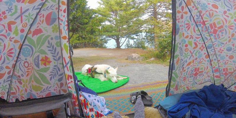 Camper submitted image from HTR Acadia