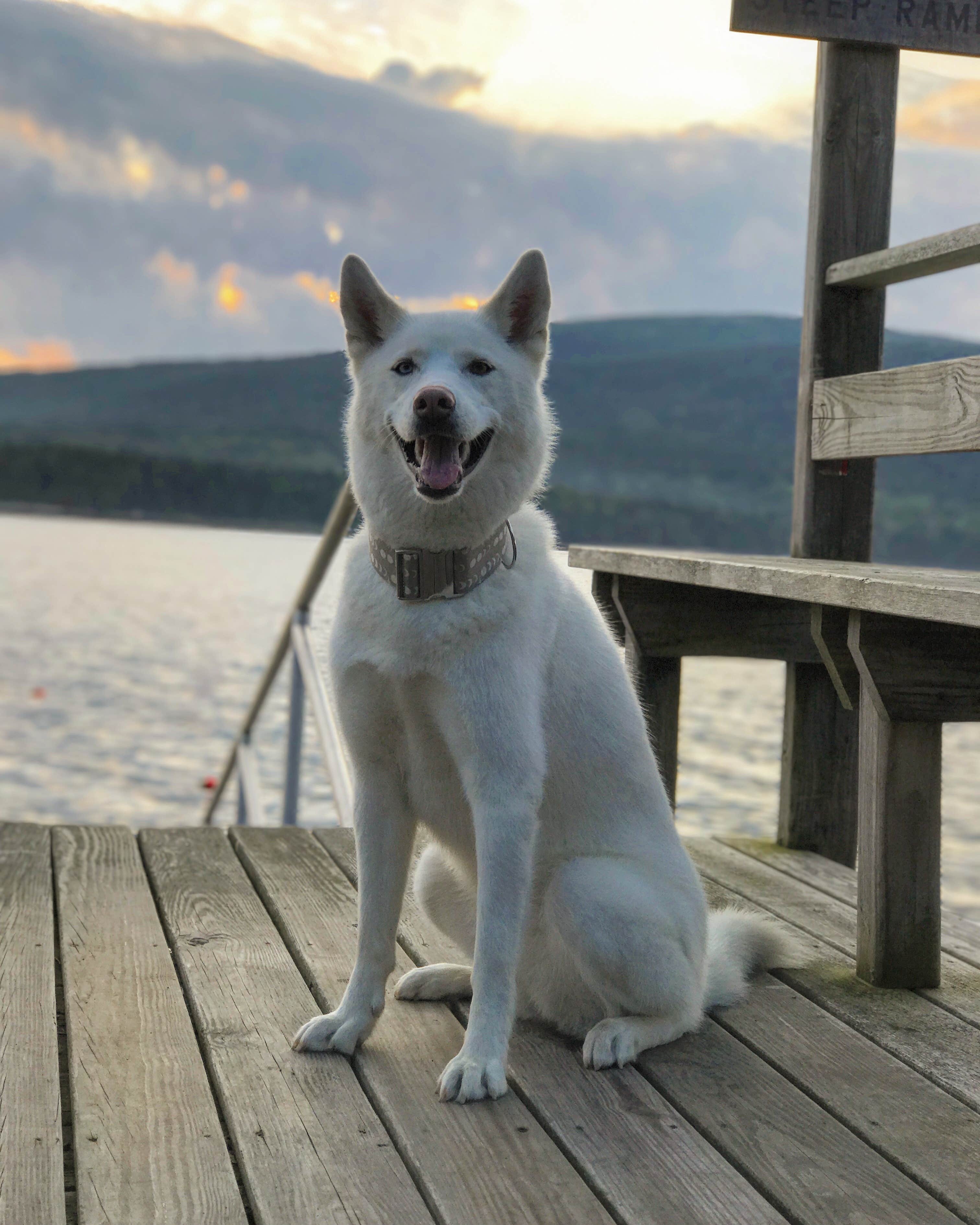 Camper-submitted photo at HTR Acadia near Acadia National Park