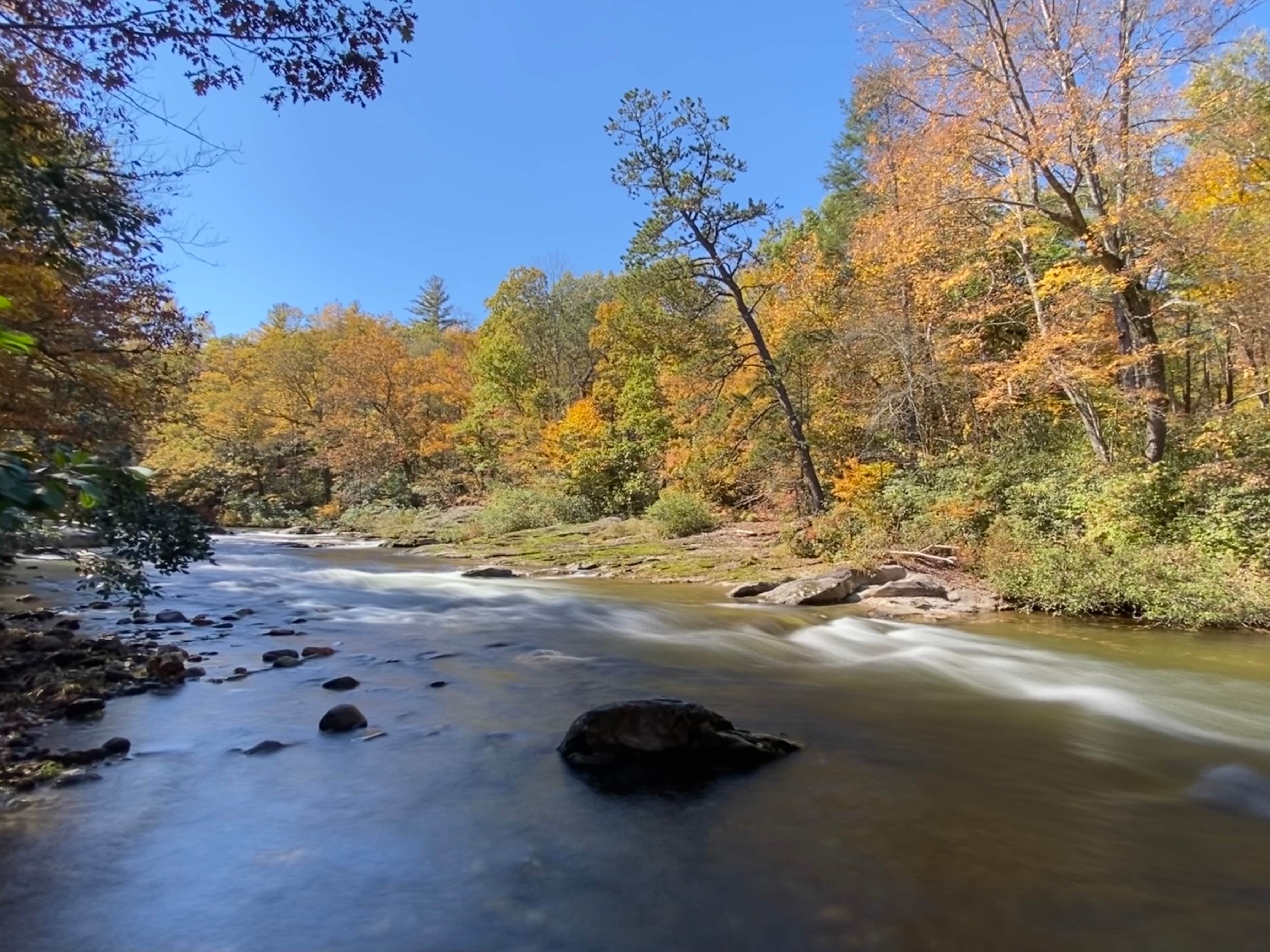 Camper submitted image from Pisgah National Forest Carolina Hemlocks Campground - 2